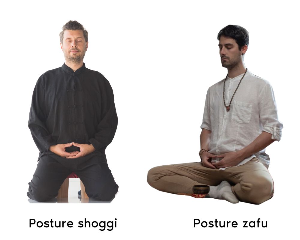 shoggi vs zafu